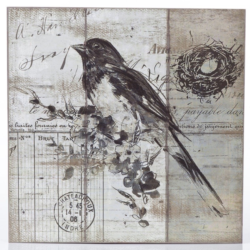 Pássaro Preto - Quadro Retrô Natureza 35cm