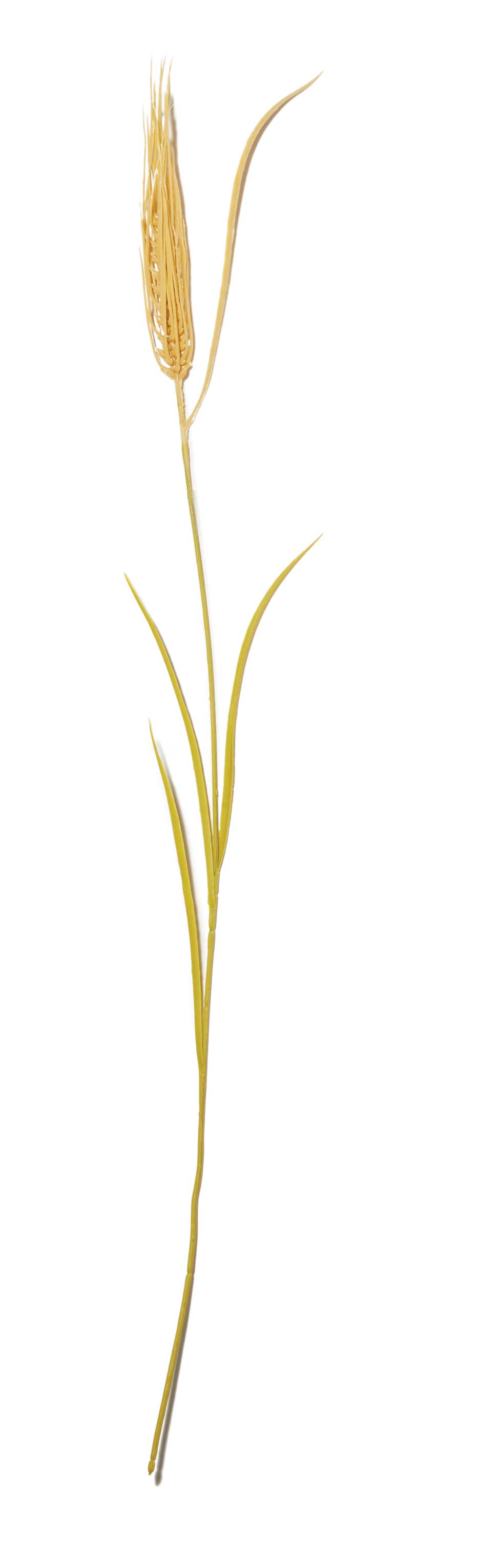 Carex - Planta Artificial - 75 cm