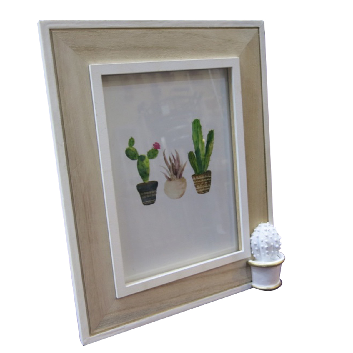 Cactus Spines - Porta Retrato de Mesa