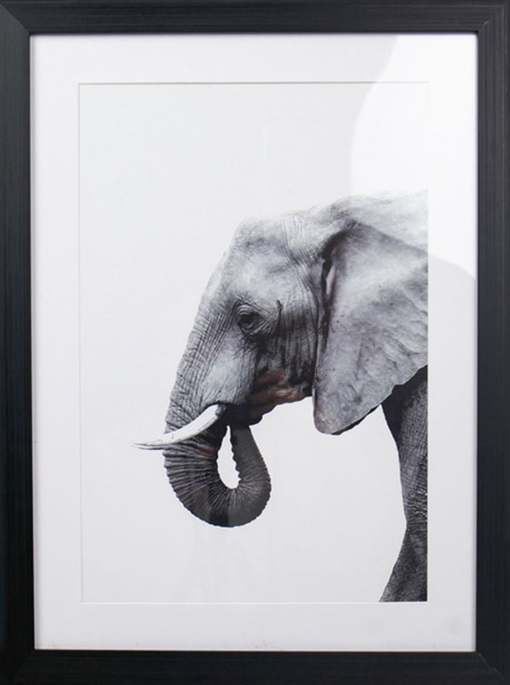 Elephant - Quadro Decorativo Moderno