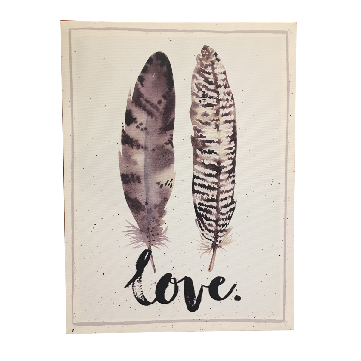 Love Feathers - Quadros
