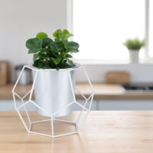 Octagonal - Vaso Geoforms