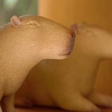 Capivara - Escultura Contemporânea em Poliresina