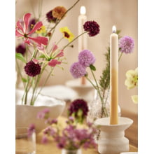 Corola Argila - Kit com 3 Castiçais em Ceramica P, M e G