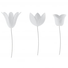 Bloomer - Conjunto Decorativo Flores 3D Com 9 Peças