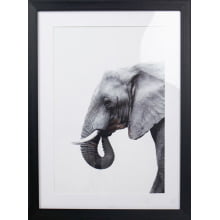 Elephant - Quadro Decorativo Moderno