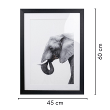 Elephant - Quadro Decorativo Moderno 60x45 cm