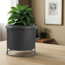 Contraste - Vaso Em Cimento Com Suporte Preto Em Metal Tamanho G