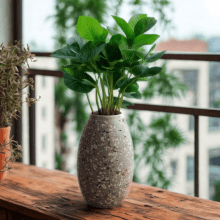 Florescer - Vaso Estampado em Cimento 