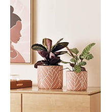 Folhas - Cachepot Rosa em Cimento - Tamanho G