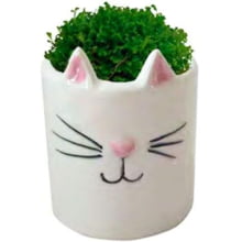 Gatinho - Vaso em Ceramica 6 cm