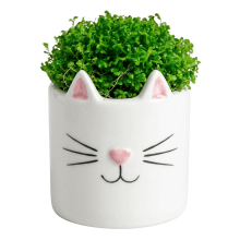 Gatinho - Vaso em Ceramica 6 cm