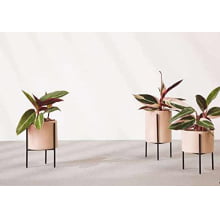 Kit Cachepots em Cimento P, M e G com suporte
