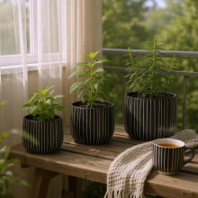 Linhas - Kit Cachepots Altos em Cimento 3 Peças (P+M+G)