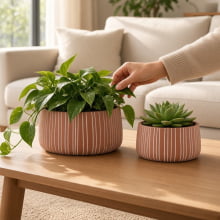 Duo Cânon - Kit Cachepots Baixos em Cimento 2 Peças (M+G)