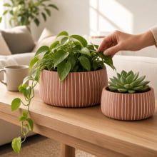 Duo Cânon - Kit Cachepots Baixos em Cimento 2 Peças (M+G)