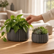 Duo Cânon - Kit Cachepots Baixos em Cimento 2 Peças (M+G)
