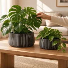 Duo Cânon - Kit Cachepots Baixos em Cimento 2 Peças (M+G)