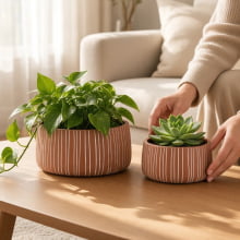 Duo Cânon - Kit Cachepots Baixos em Cimento 2 Peças (M+G)