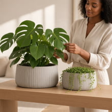 Duo Cânon - Kit Cachepots Baixos em Cimento 2 Peças (M+G)