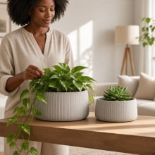 Duo Cânon - Kit Cachepots Baixos em Cimento 2 Peças (M+G)