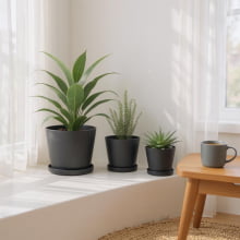 Minimalistas - Kit com 3 Vasos em Cimento Com Pratinhos (P+M+G)