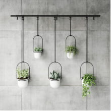 Triflora - Kit com 5 Vasos de Parede