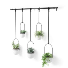 Triflora - Kit com 5 Vasos de Parede