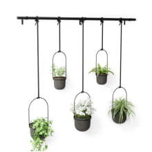 Triflora - Kit com 5 Vasos de Parede
