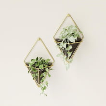 Trigg - Conjunto com 2 vasinhos de parede Preto/Dourado