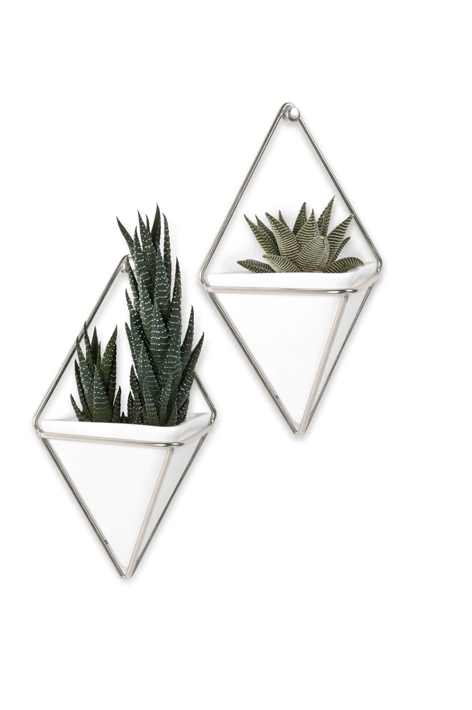 Triângulo Invertido - Vaso com Suporte de Parede - Azzurium