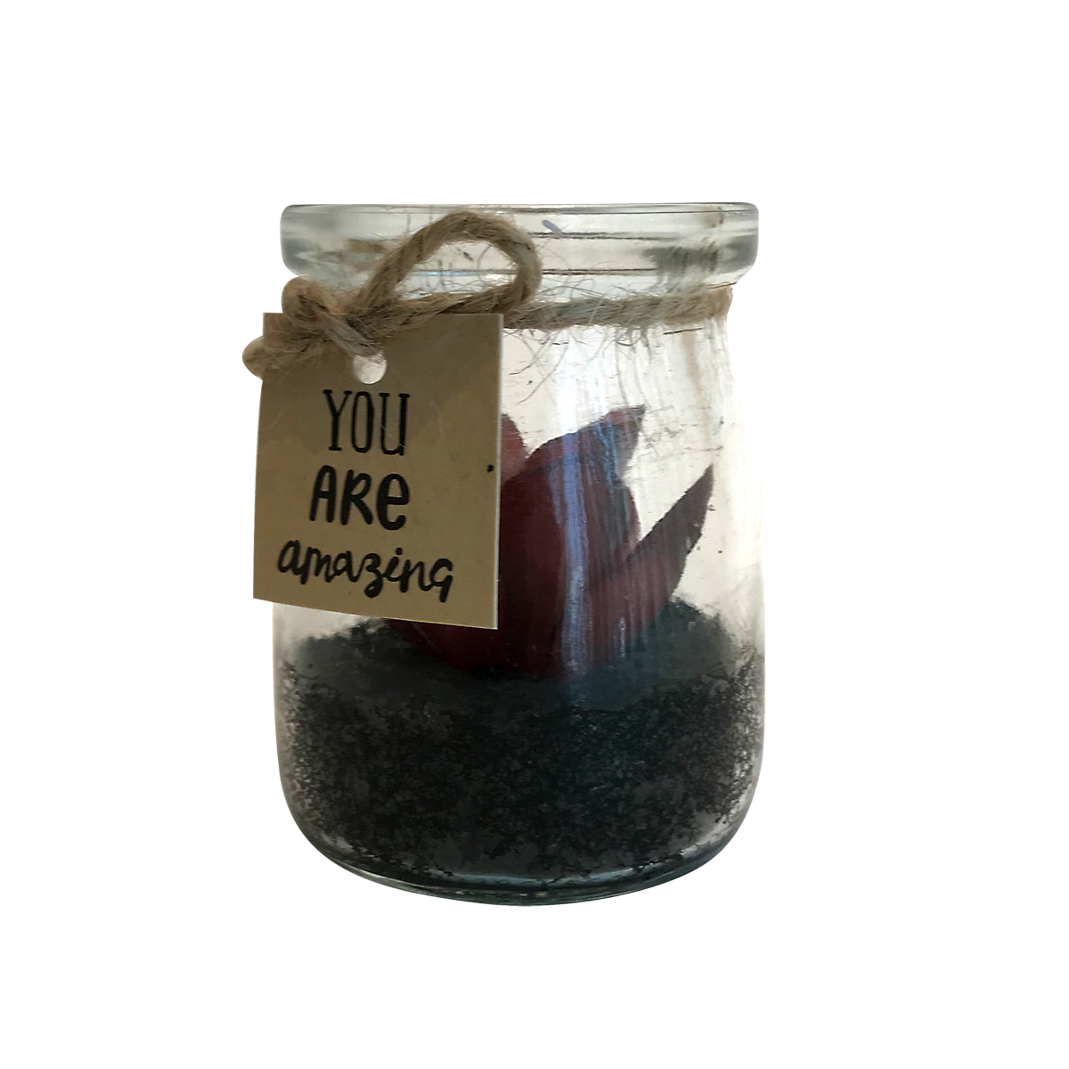 You Are Amazing - Mini Vaso com Suculenta Artificial Vermelha